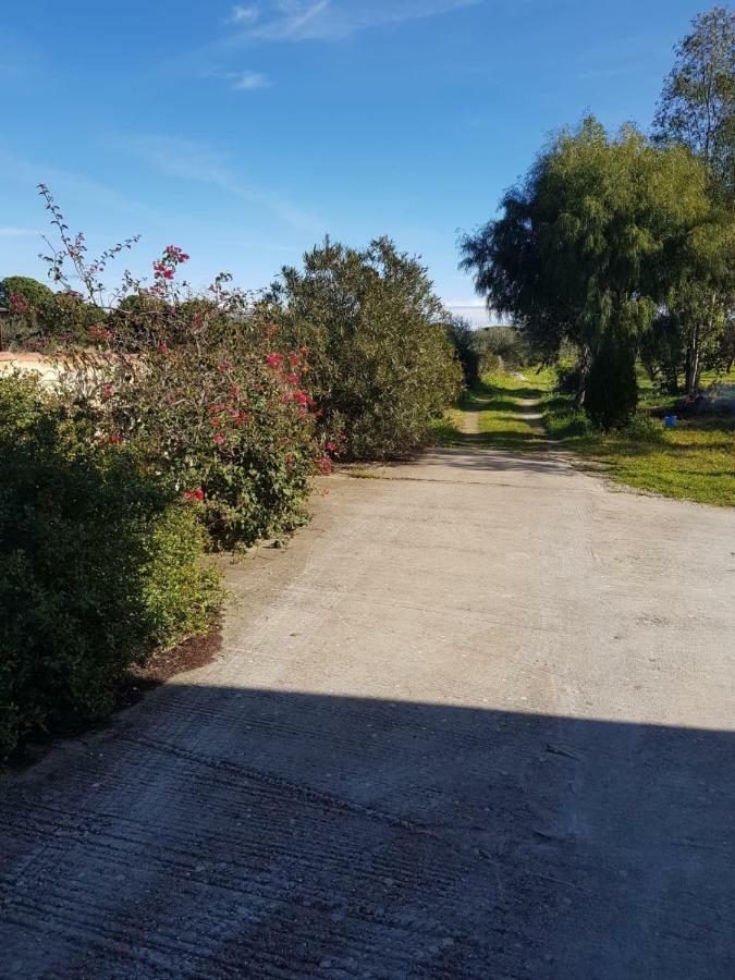 Mimosa Bilocale Cala Liberotto Exterior foto